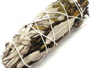 Sauge Blanche &amp; Arruda fagot 🕊️